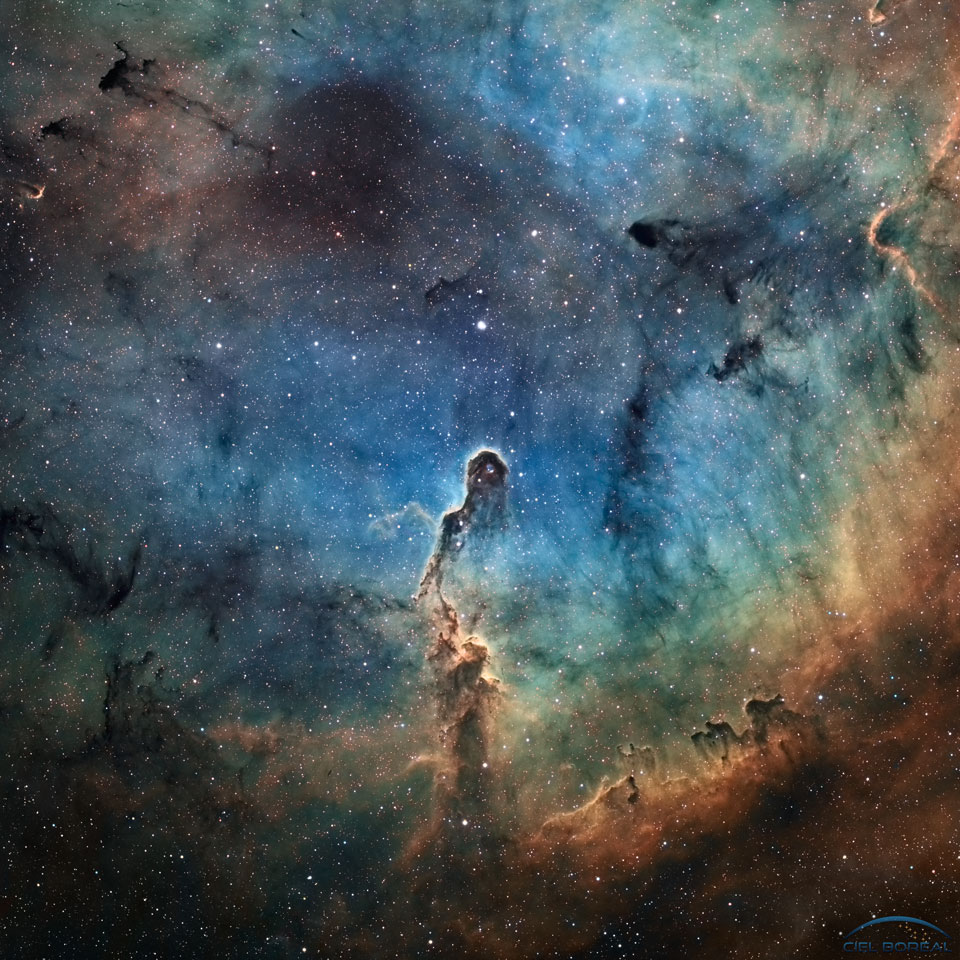 Ein Feld mit blauen Nebeln ist von dunklen Fasern durchzogen. Der Emissionsnebel im Sternbild Kepheus ist als IC 1396 katalogisiert. Von unten ragt eine dunkle Säule hoch, deren Form an einen Elefantenrüssel erinnert.