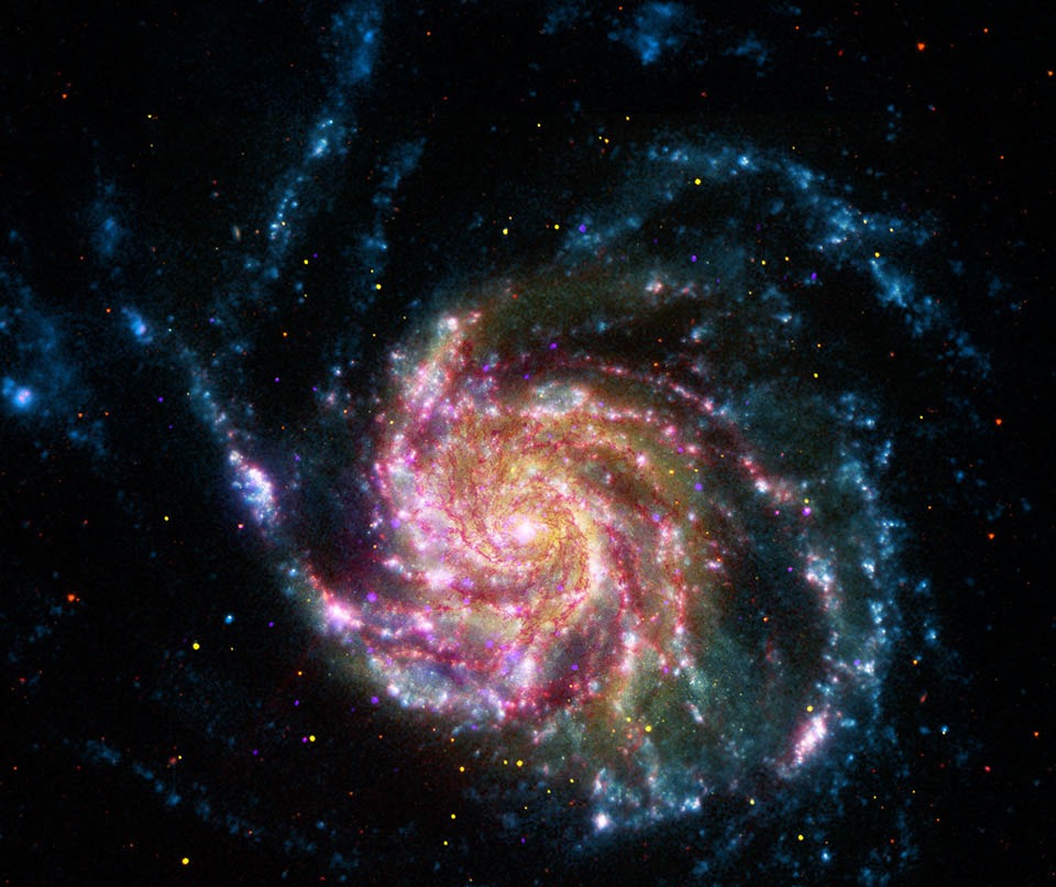 Die Feuerradgalaxie M101 füllt das Bild. Ihre Spiralarme sind auf dieser Aufnahme von hellrot leuchtenden Sternbildungsgebieten gesäumt, nach außen hin verlaufen sie blau, was offene Sternhaufen andeutet.