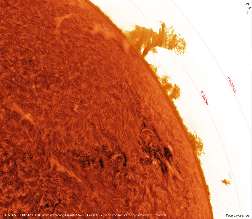 Die Sonne ist auf diesem Bild scheinbar von einem gefaserten orangefarbenen Teppich überzogen. Das Bild zeigt einen Ausschnitt rechts oben, in der Mitte verläuft der Sonnenrand, über den nach rechts Protuberanzen aufsteigen. Der Hintergrund ist weiß.