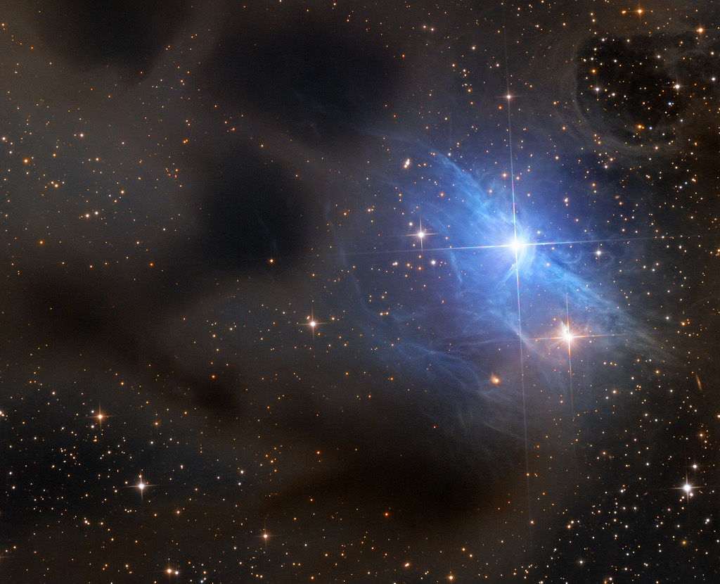 Rechts im Bild leuchtet ein blauer Nebelschleier um einen hellen Stern, vor dem restlichen Sternenhintergrund ist ein Dunkelnebel erkennbar.