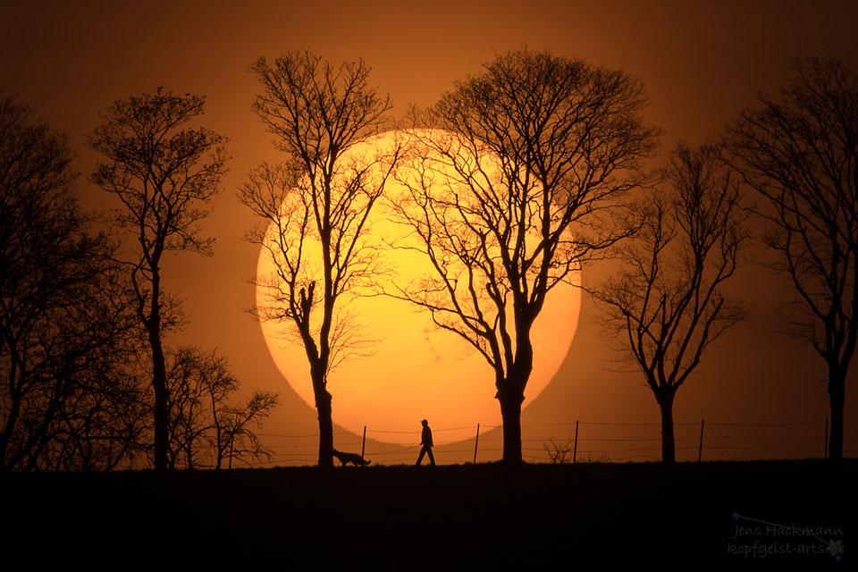 Hinter den Silhouetten von Bäumen geht eine riesige Sonne unter. Davor ist die Silhouette eines Mannes mit seinem Hund. Unter den Bäumen ist eine riesige Sonnenfleckengruppe.