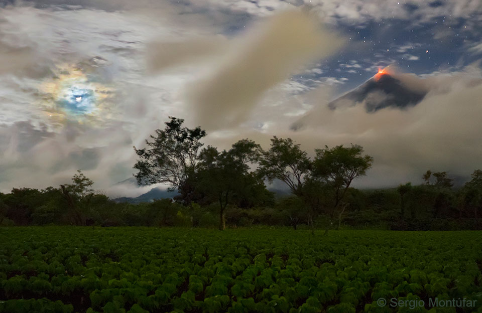 Hinter Bäumen und einem Spinatfeld leuchtet der Mond mit einem Hof, rechts ragt ein Vulkan aus den Volken, an dessen Gipfel rote Lava glüht.