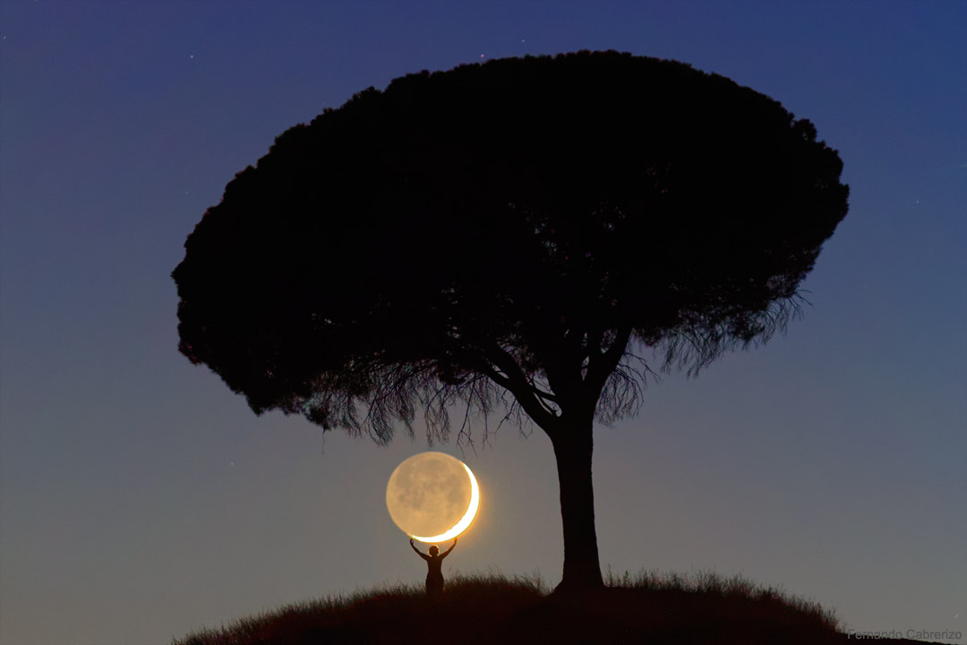 Unter einer Silhouette eines dunklen Baumes leuchtet eine Mondsichel mit Erdschein. Der Mond wird scheinbar von einer Person hochgehalten.