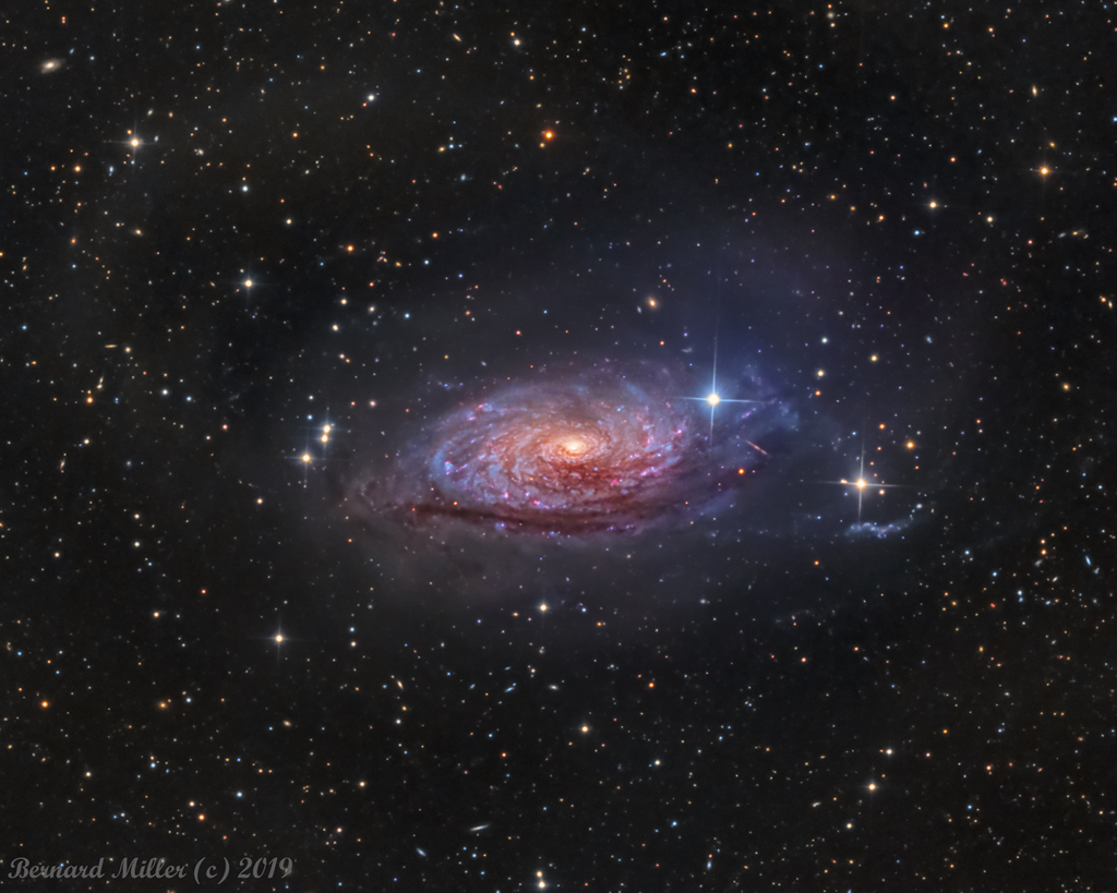 Hinter einem Vorhang aus Sternen leuchtet eine Spiralgalaxie, die wir schräg von oben sehen. Ihre Spiralarme sind von rosaroten Sternbildungsgebieten gesäumt. Der Kern leuchtet gelblich, unten sind dichte Staubwülste.