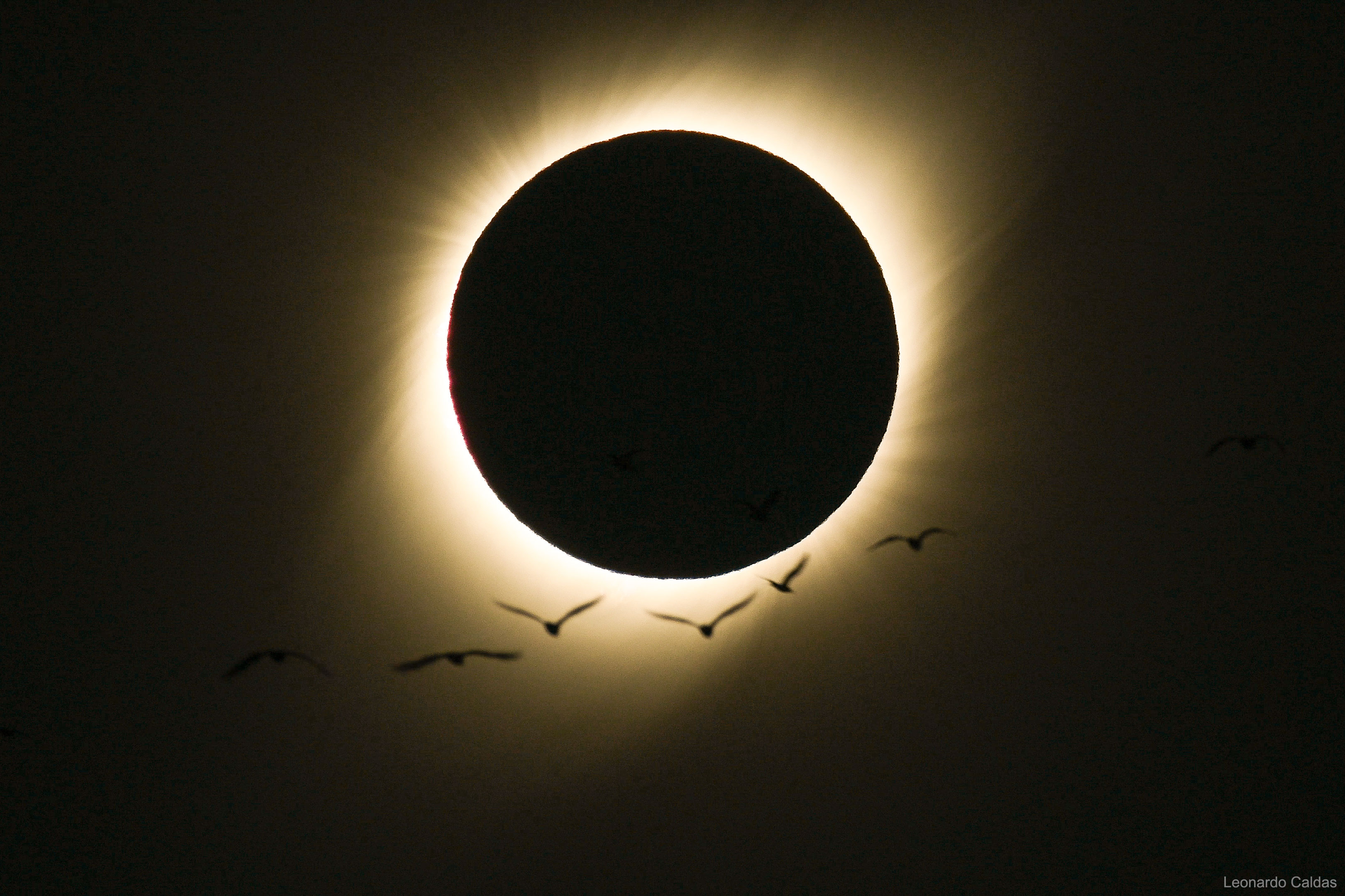 Солнечное затмение с земли. Солнечное затмение 30 апреля 2022. Солнечное затмение астрономия. Полное солнечное затмение 2022. Eclipse Solar затмение.