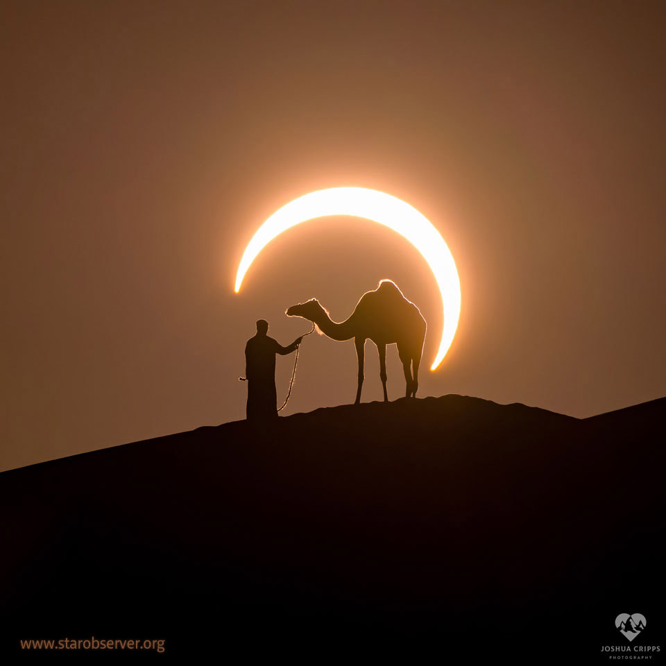 Siehe Beschreibung. Ringförmige Sonnenfinsternis hinter einem Kamel in den Vereinigten Arabischen Emiraten; Ein Klick auf das Bild lädt die höchstaufgelöste verfügbare Version.