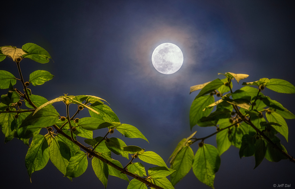 Vollmond in Chongqing, China.