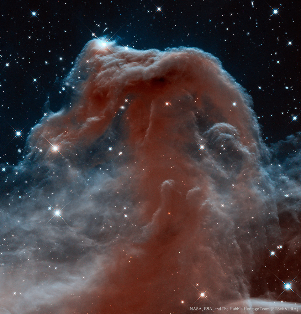 Das Weltraumteleskop Hubble zeigt den Pferdekopfnebel in Infrarotlicht; Ein Klick auf das Bild lädt die höchstaufgelöste verfügbare Version.