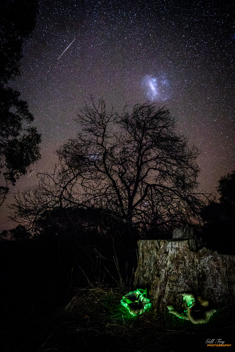 Auf diesem Bild aus dem Wannon-Falls-Naturschutzgebiet in Südwest-Victorialeuchten Sterne, die Große Magellansche Wolke und Omphalotus nidiformis (Australische Geisterpilze).