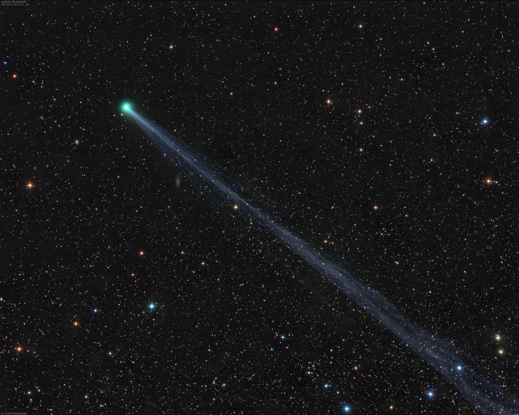Komet SWAN (C/2020 F8) mit seinem riesigen Ionenschweif ist endlich mit bloßem Auge sichtbar und wechselt auf den nördlichen Himmel.