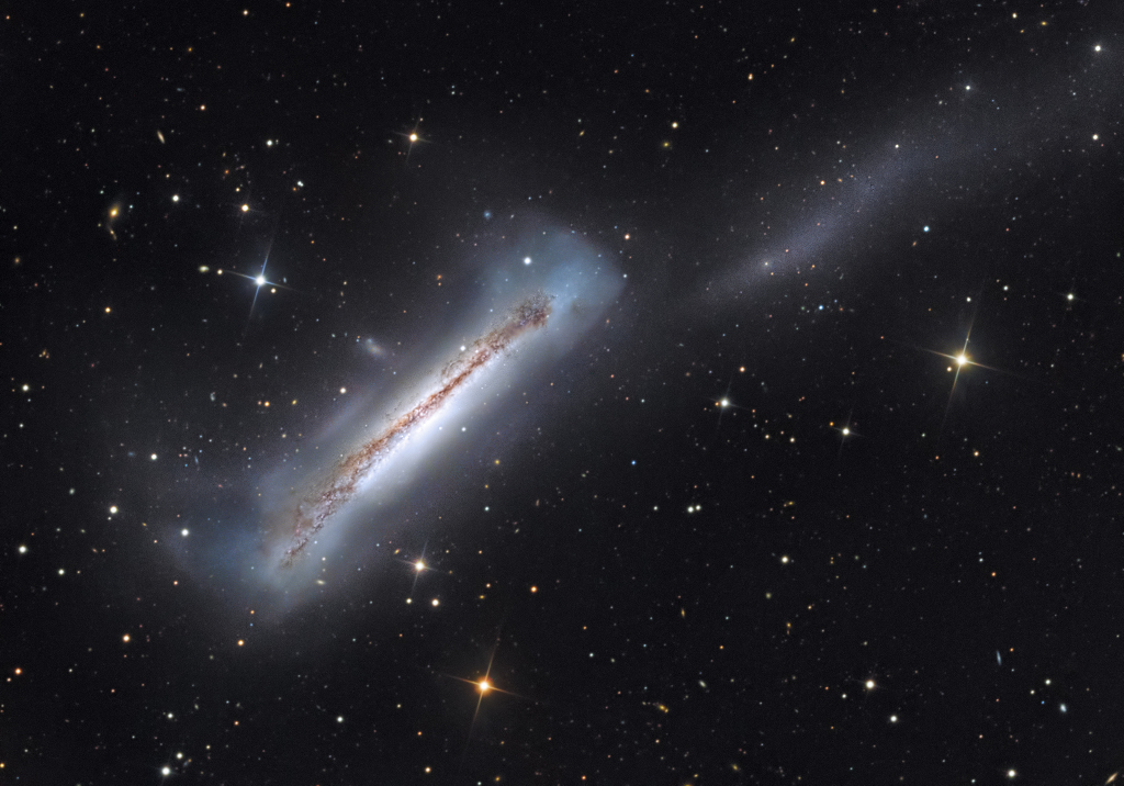 NGC 3628 heißt wegen ihrem Aussehen Hamburger-Galaxie, zusammen mit M65 und M66 bildet sie das Leo-Triplett im Sternbild Löwe.