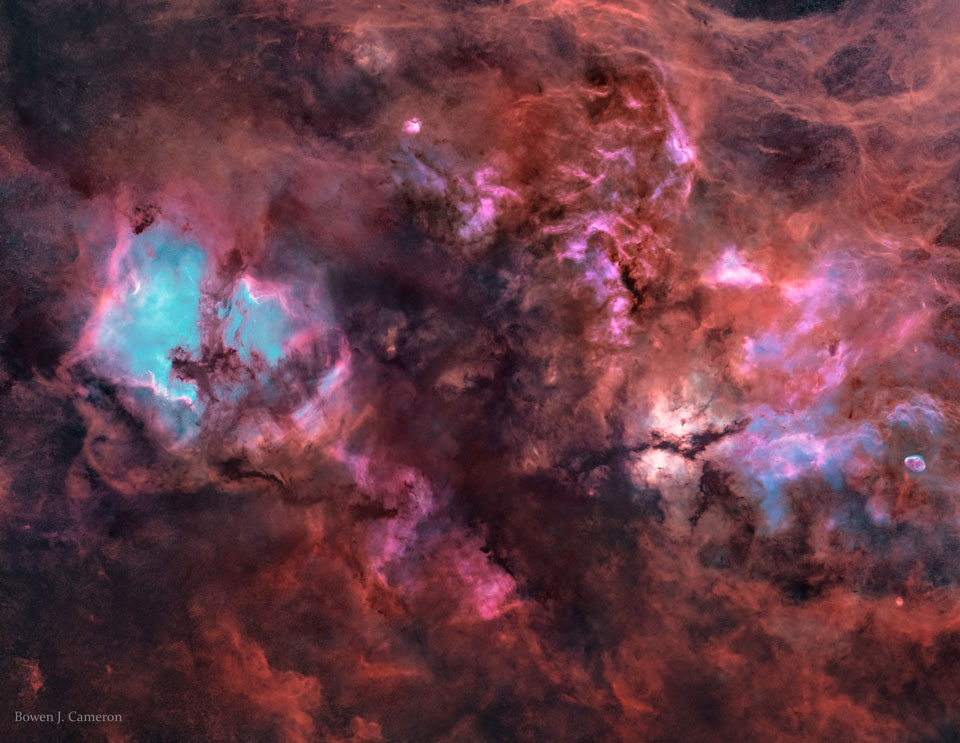Ein nebelreicher Teil im Sternbild Schwan mit NGC 7000 (Nordamerikanebel), IC 5070 (der Pelikannebel), IC 1318 (Schmetterlingsnebel) und NGC 6888 (Sichelnebel).