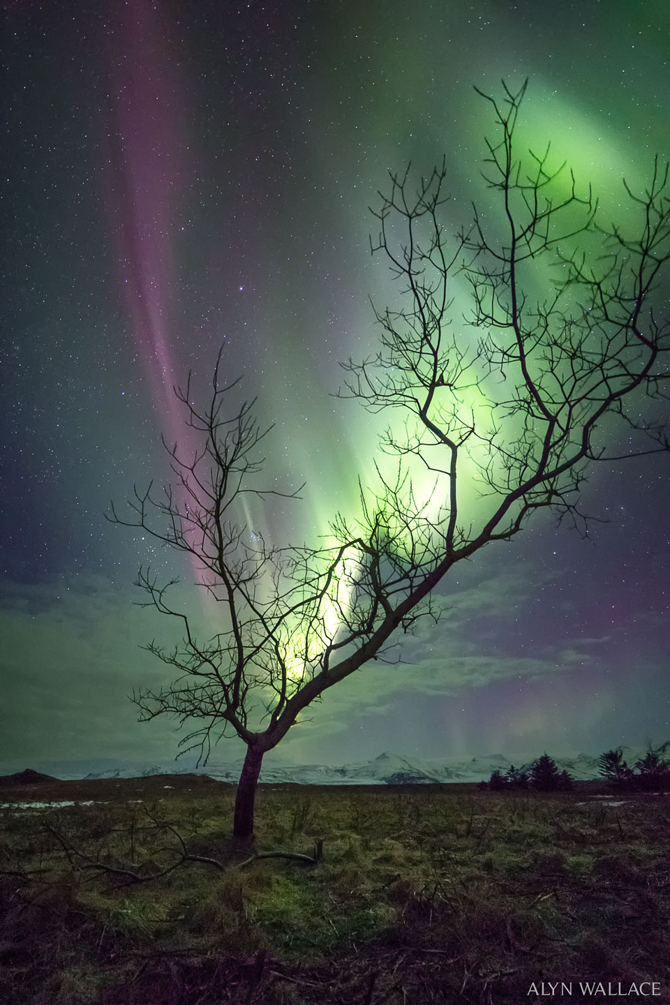 Dieses Polarlicht wurde im März 2017 in Island beobachtet.