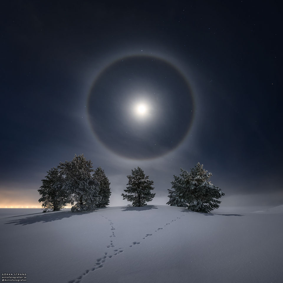 Dieser vollständige Mondhalo mit verschneiten Bäumen und Kaninchenspuren wurde letzte Woche in Östersund in Schweden fotografiert.