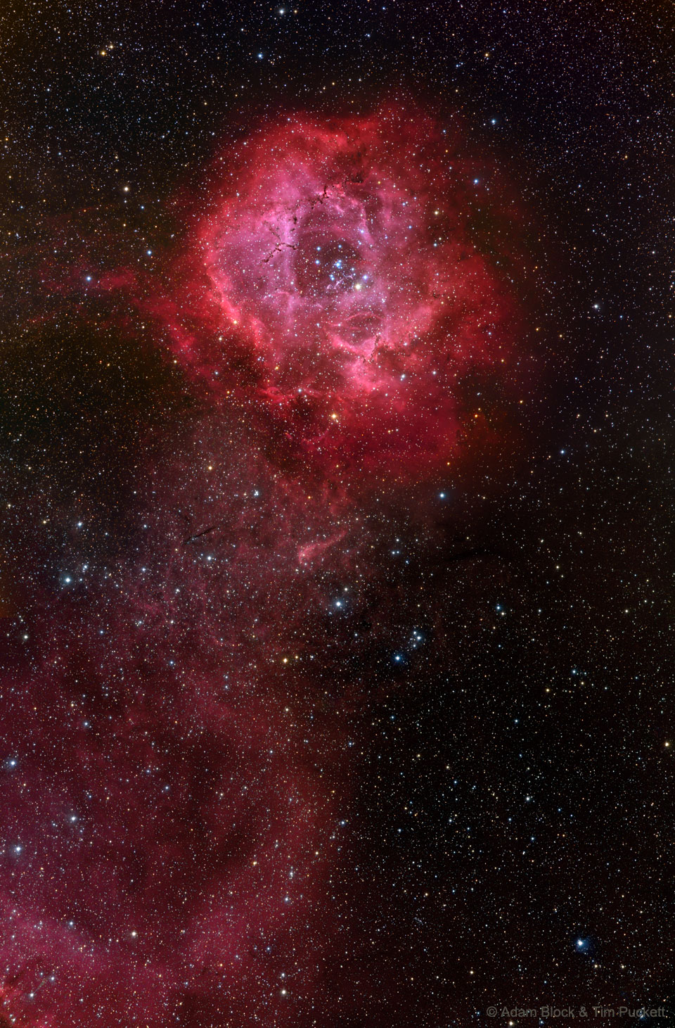 Der Rosettennebel NGC 2237 ist etwa 100 Lichtjahre groß und an die 5000 Lichtjahre entfernt im Sternbild Einhorn (Monoceros).