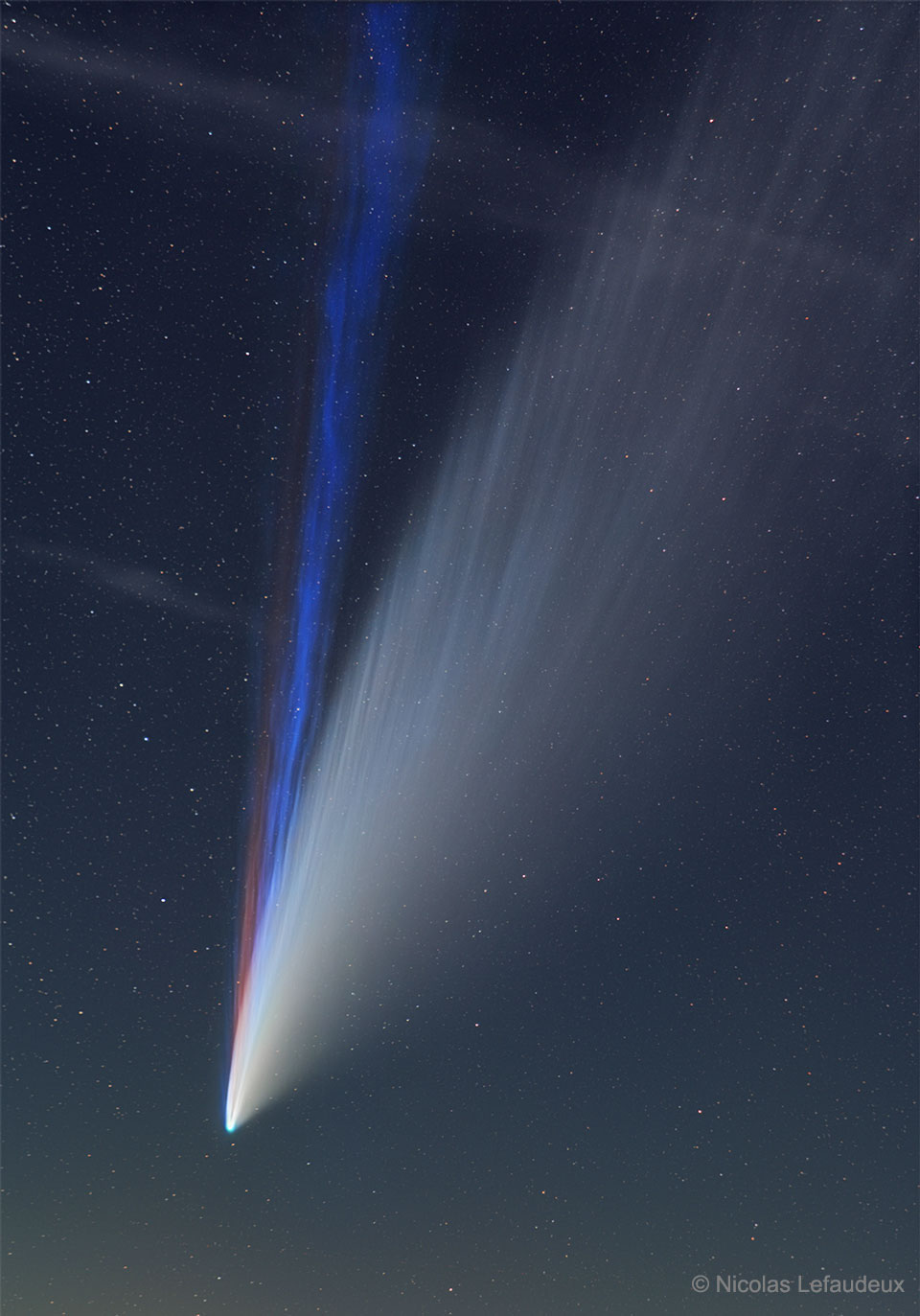 Die Schweife des Kometen C/2020 F3 (NEOWISE) mit dem schmalen rötlichen Natrium-Schweif.