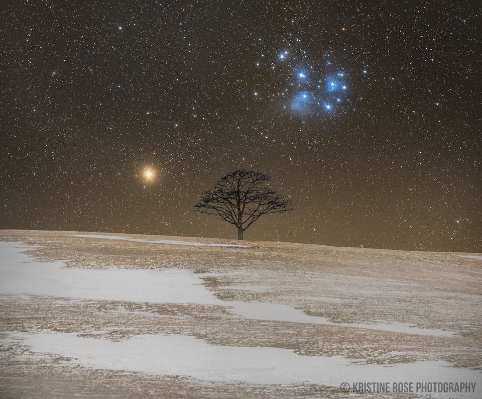 Mars und Plejaden neben einem Baum auf dem Vinegar Hill in Milford in Nova Scotia, Kanada.