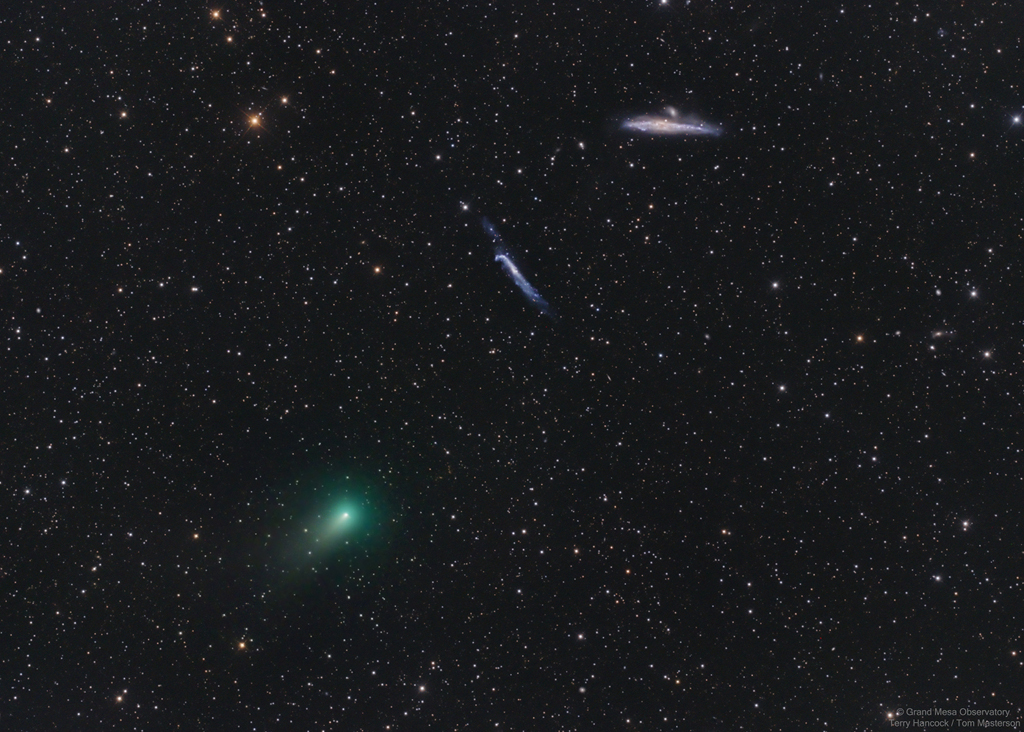 Der Komet ATLAS (C/2020 R4) teilt sich dieses hübsche Teleskopsichtfeld in den Jagdhunden mit den Galaxien NGC 4631 und NGC 4656/7.