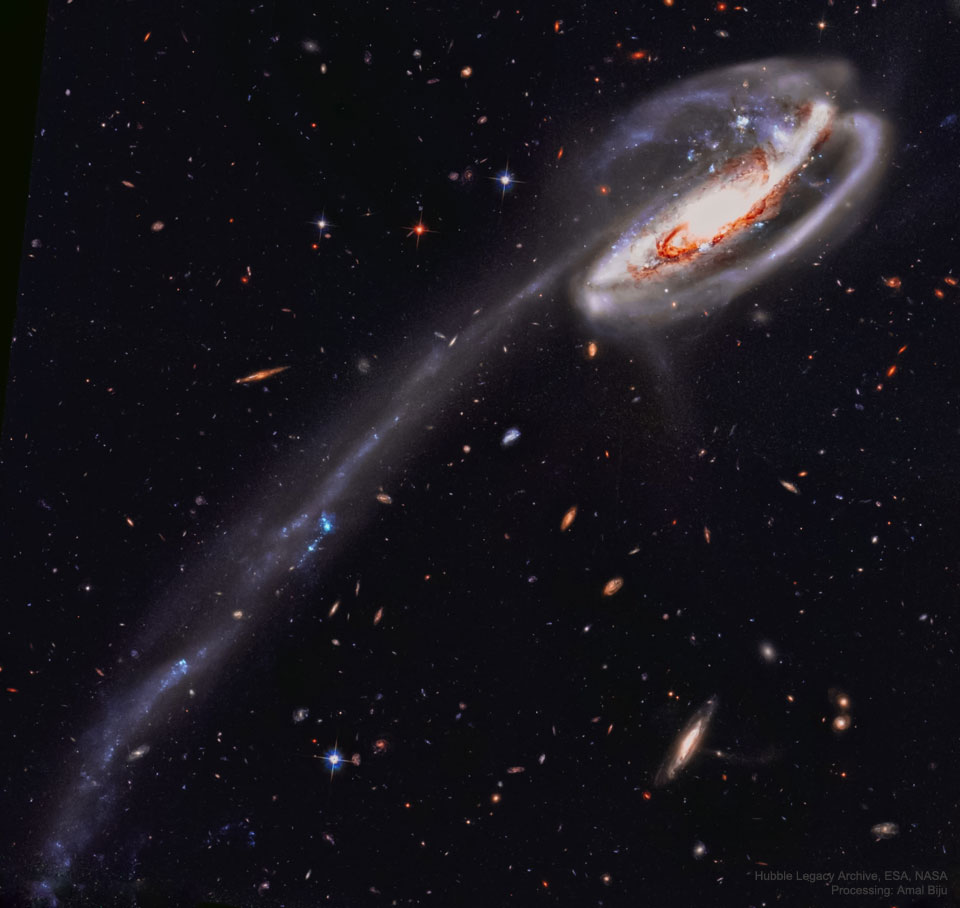 Die verzerrte Spiralgalaxie Arp 188, die Kaulquappengalaxie, liegt etwa 420 Millionen Lichtjahre entfernt im Sternbild Drache.