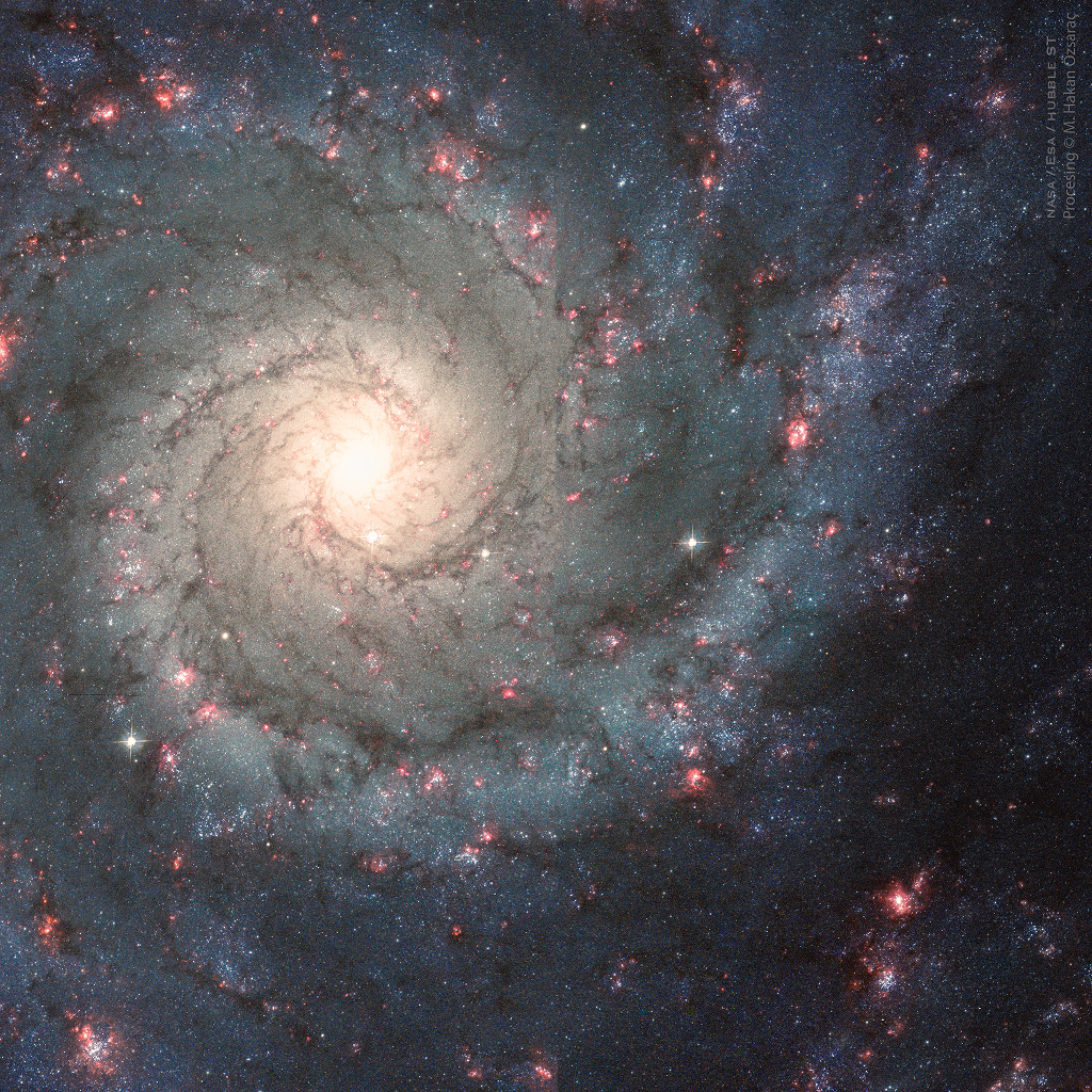 Die Spiralgalaxie M74 im Sternbild Fische.