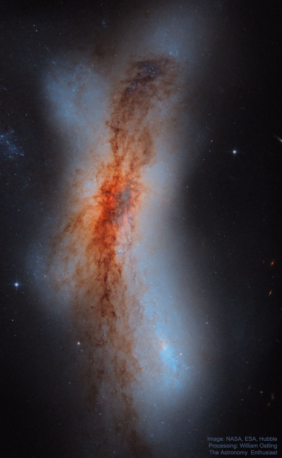 Das Weltraumteleskop Hubble zeigt ein Porträt der Galaxie NGC 520 im Sternbild Fische.