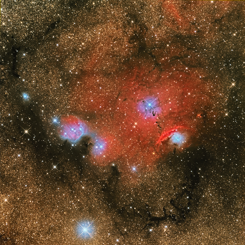 Die Staub-, Emissions- und Reflexionsnebel von NGC 6559.