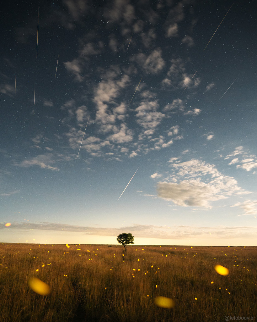 Geminiden im Süden von Uruguay über einer Landschaft mit Glühwürmchen.