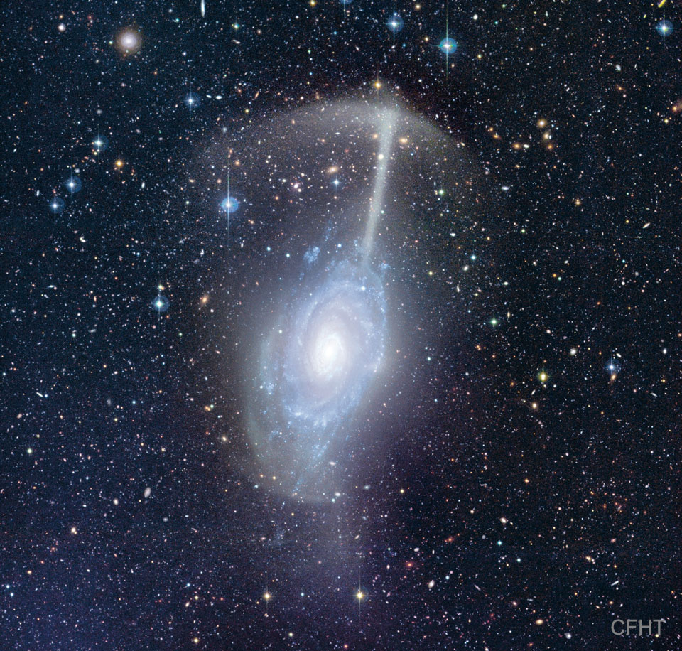 Die Spiralgalaxie NGC 4561 im Sternbild Haar der Berenike hat einen Schirm aus Sternen.