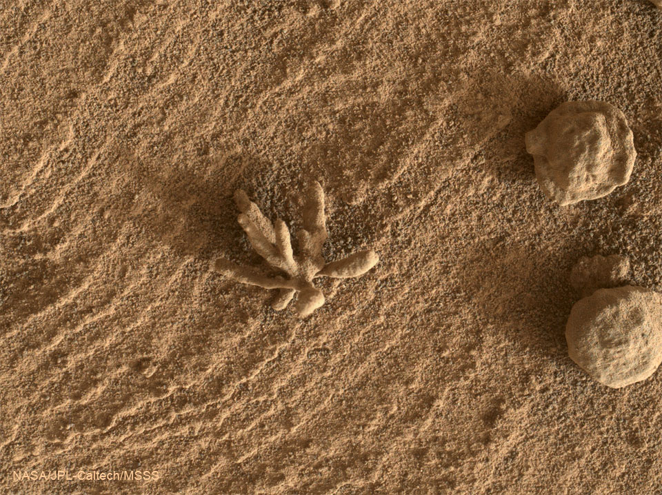 Der Marsrover Curiosity fotografierte Ende Februar einen ungewöhnlichen Weltraumstein.
