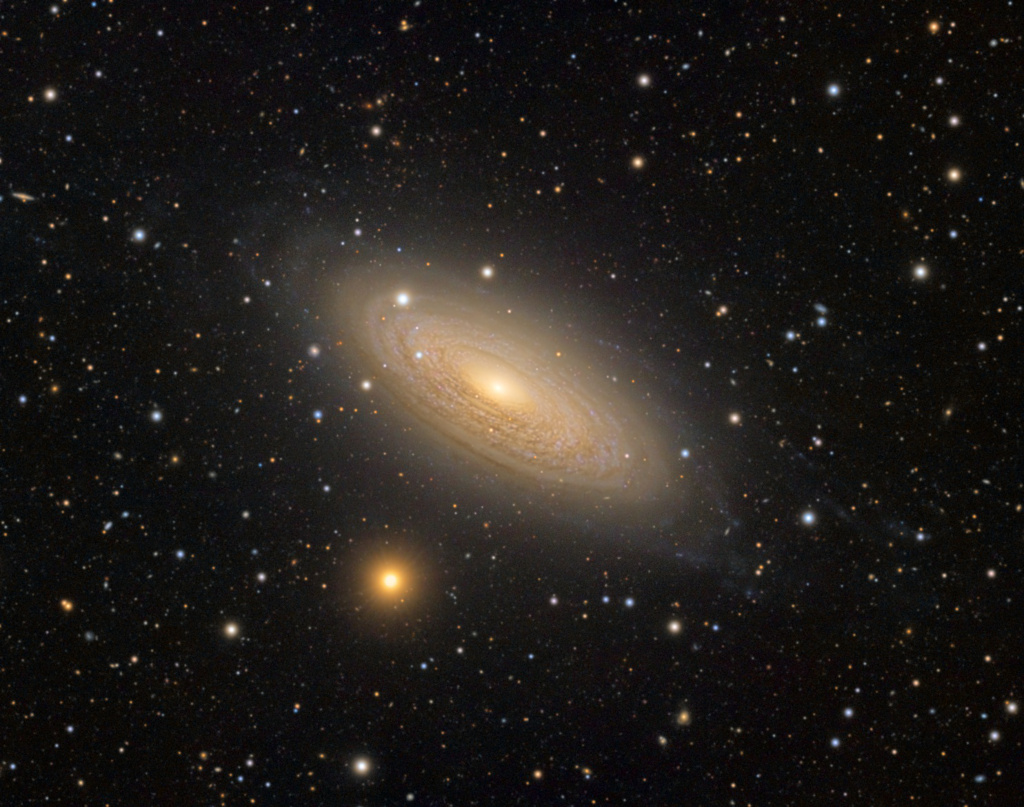 Die Spiralgalaxie NGC 2841 ist größer als die Milchstraße und besitzt eng gewundene, flächige Spiralarme.