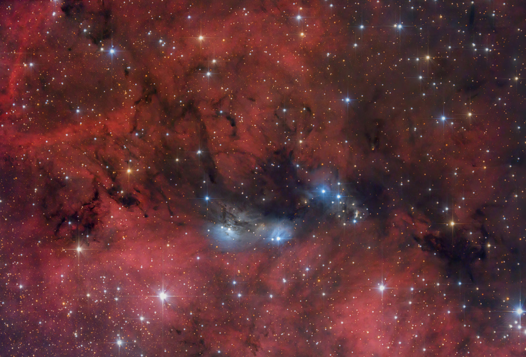 Die Umgebung von NGC 6914 im nördlichen Sternbild Schwan enthält viele Emissionsnebel und Reflexionsnebel sowie die Cygnus-OB2-Assoziation