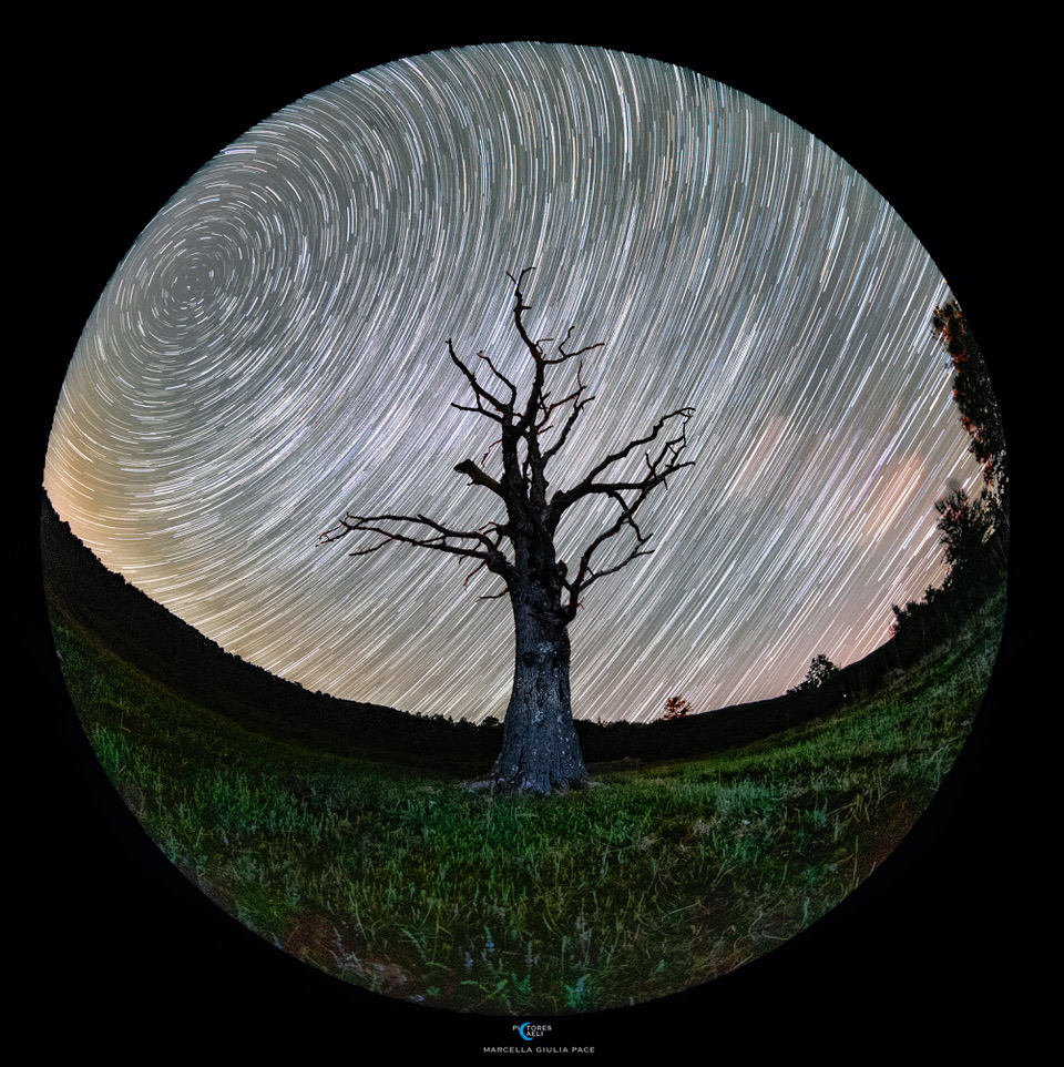 Das Bild zeigt einen alten blattlosen Baum vor einem Himmel mit Strichspuren, die durch die Erdrotation entstehen.