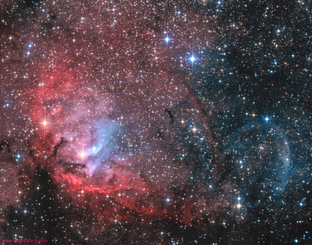 Der rot leuchtende Tulpennebel liegt in der Ebene der Milchstraße im Sternbild Schwan, rechts davon krümmt sich die bläuliche Stoßfront des Mikroquasars Cygnus X1.