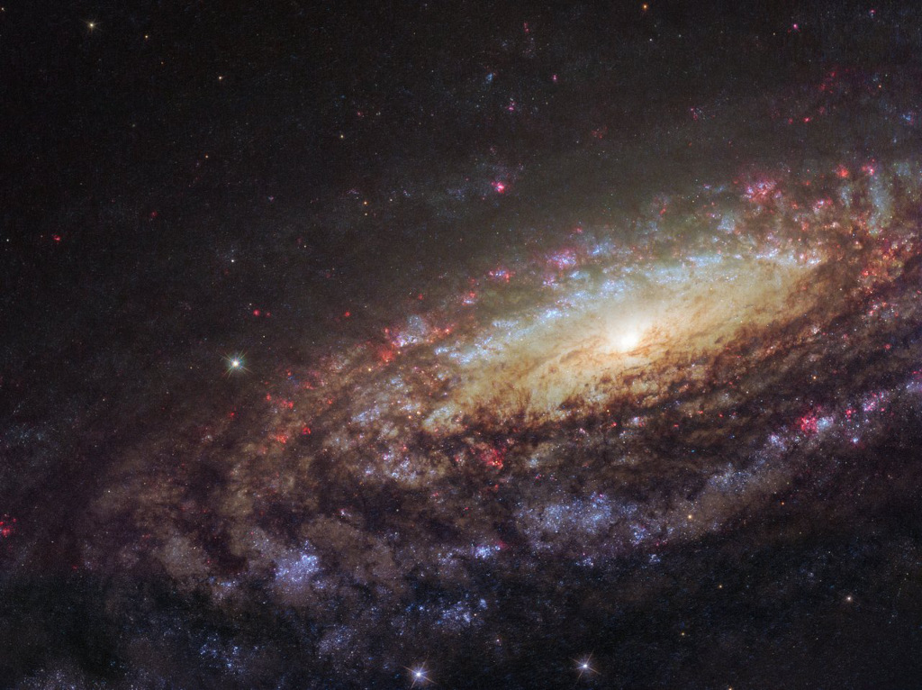Das Bild zeigt eine Nahaufnahme der Spiralgalaxie NGC 7331 im Sternbild Pegasus, aufgenommen mit dem Weltraumteleskop Hubble.