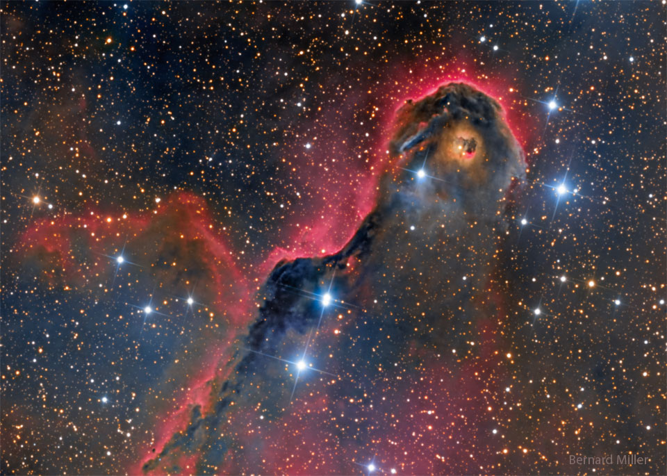Das Bild zeigt die Sternbildungsregion IC 1396, auch Elefantenrüsselnebel genannt. Eine dunkle Form mit rot leuchtendem Rand besitzt in der Mitte eine helle Stelle, die wie ein Auge wirkt.