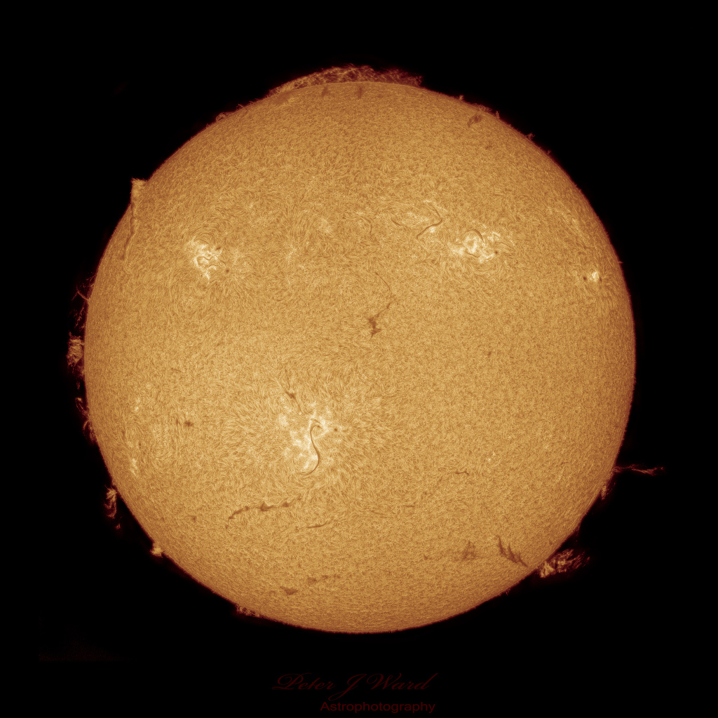 Dieses Bild der Sonne in H-alpha-Licht wurde kurz vor dem Perihel aufgenommen, man sieht die Granulation, Protuberanzen und helle Flecken.
