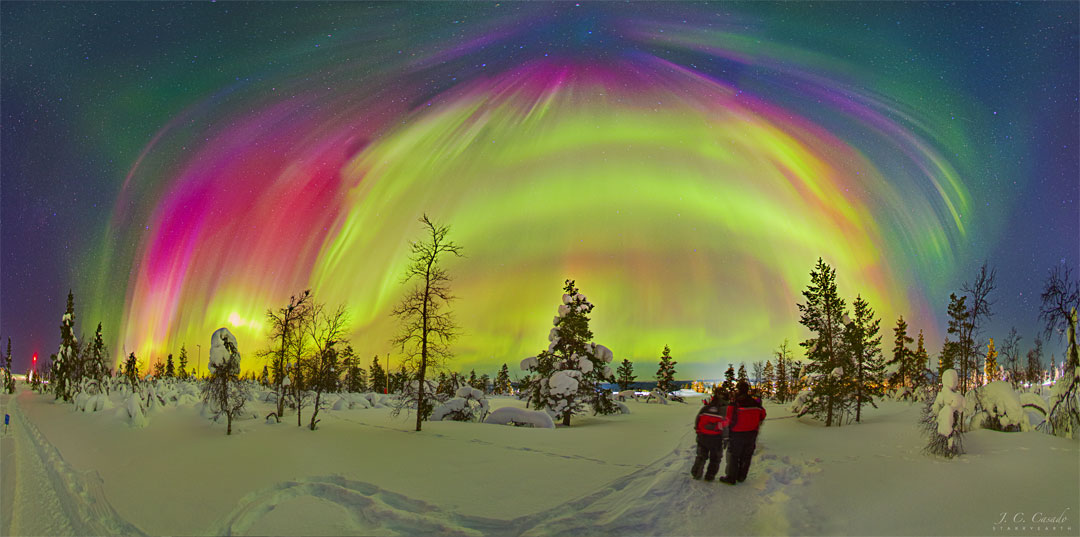 Über einer dünn mit Bäumen bewachsenen Schneelandschaft leuchtet ein Gewölbe aus hellgrünen und magentafarbenen Polarlichtern.