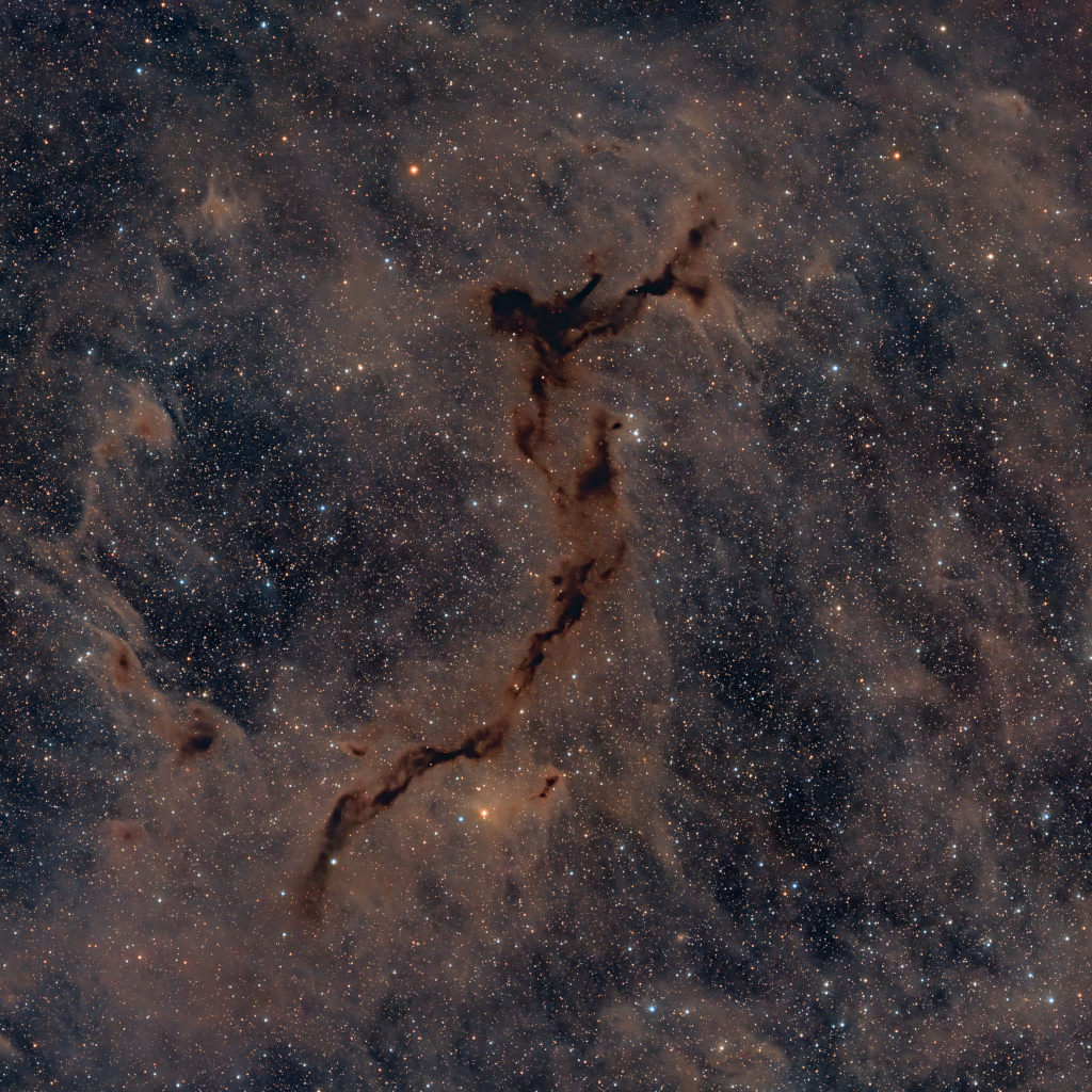 Ein Sternenfeld ist voller düsterer Staubwolken, in der Mitte verläuft eine schmale, dunkle Wolke in Form eines Seepferdchens.