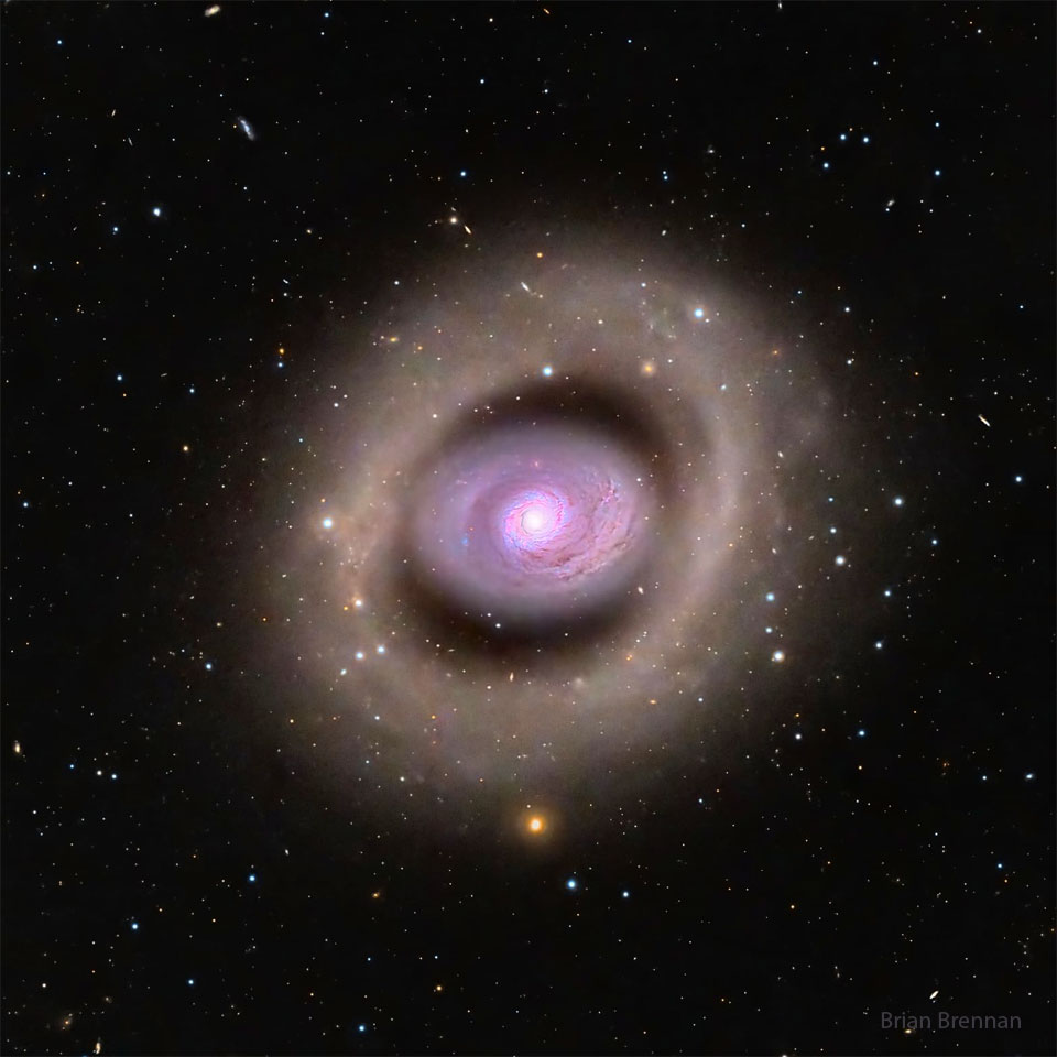 In der Bildmitte ist eine Galaxie, die ein inneres Oval mit violetten Spiralamen besitzt, die sehr eng und dicht gewunden sind. Um den Kern zeichnet sich ein Ring ab. Außen verläuft ein donut-ähnlicher großer bräunlicher Ring.