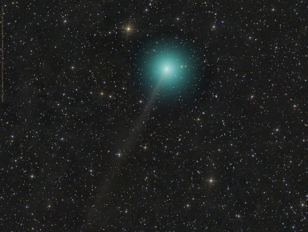 Oben in der Mitte ist ein Kometenkopf mit grünlicher Koma, nach links unten reicht ein sehr blasser Ionenschweif. Im Hintergrund sind Sterne zu sehen.