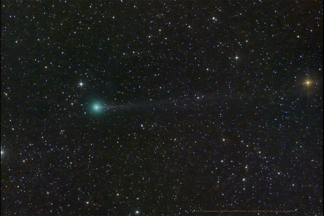 In einem mit zarten Sternen übersäten Bild leuchtet links neben der Mitte ein kleiner grünlicher Komet.