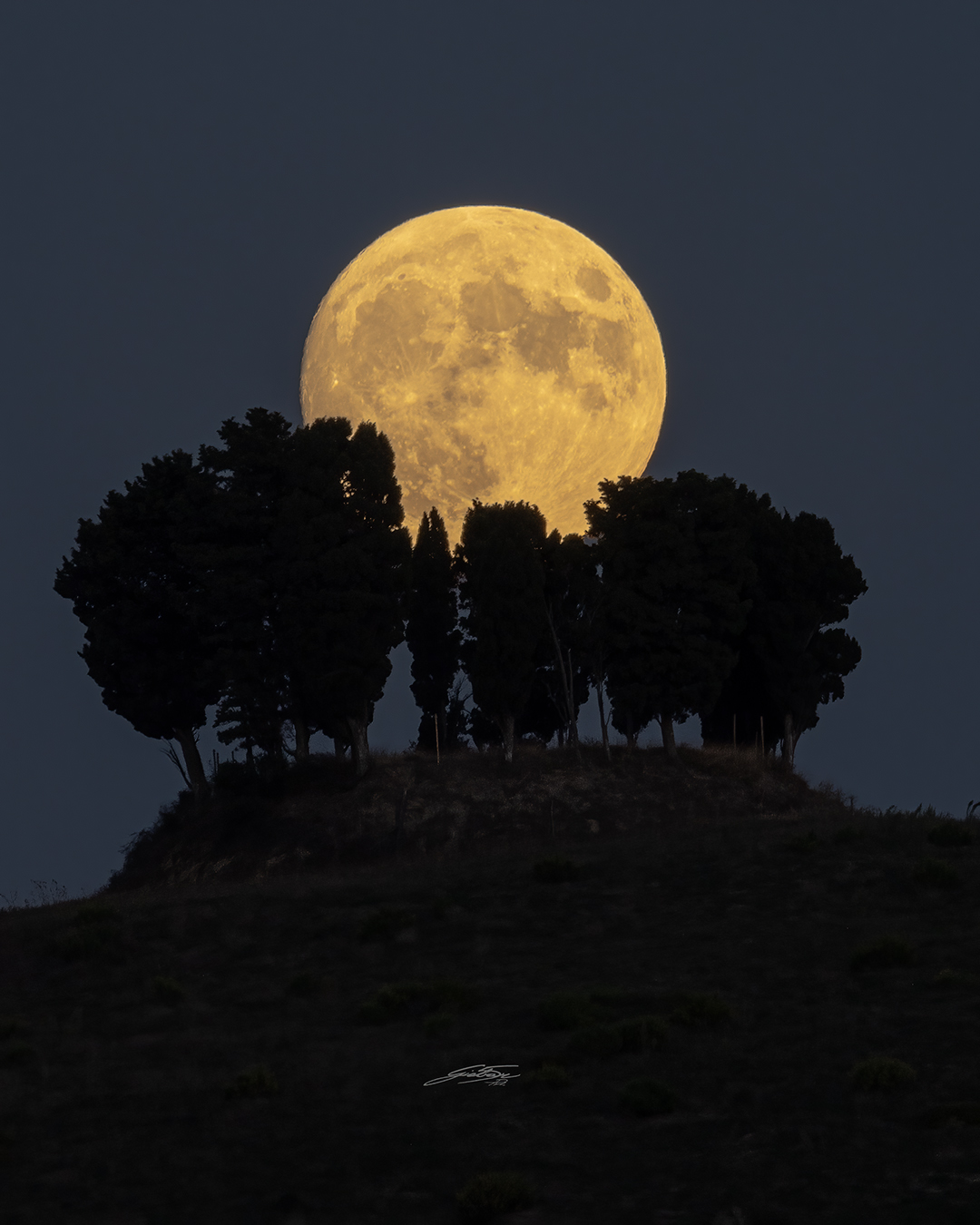 Hinter einer Gruppe Zypressen, von denen man nur dunkle Silhouetten sieht, geht ein gelb leuchtender Mond auf. Die dunklen Flecken der Mondmeere sind gut zu erkennen.
