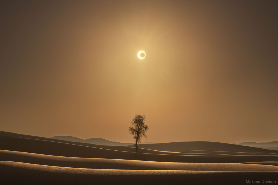 Über einer gelblich beleuchteten Wüsenlandschaft mit Dünen und einem fernen Baum in der Mitte leuchtet ein Feuerring - die Sonne wird vom Mond nur teilweise verdeckt, rundherum leuchtet sie über dem Sonnenrand.