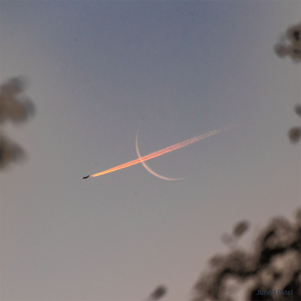 Am noch hellen Abendhimmel leuchtet eine orangefarbene Mondsichel, quer darüber verlläuft der orangefarbene Kondensstreifen. Das Flugzeug, das den Kondensstreifen zieht, fliegt nach links unten. Im Vordergrund sind einige dunkle Blätter zu sehen.
