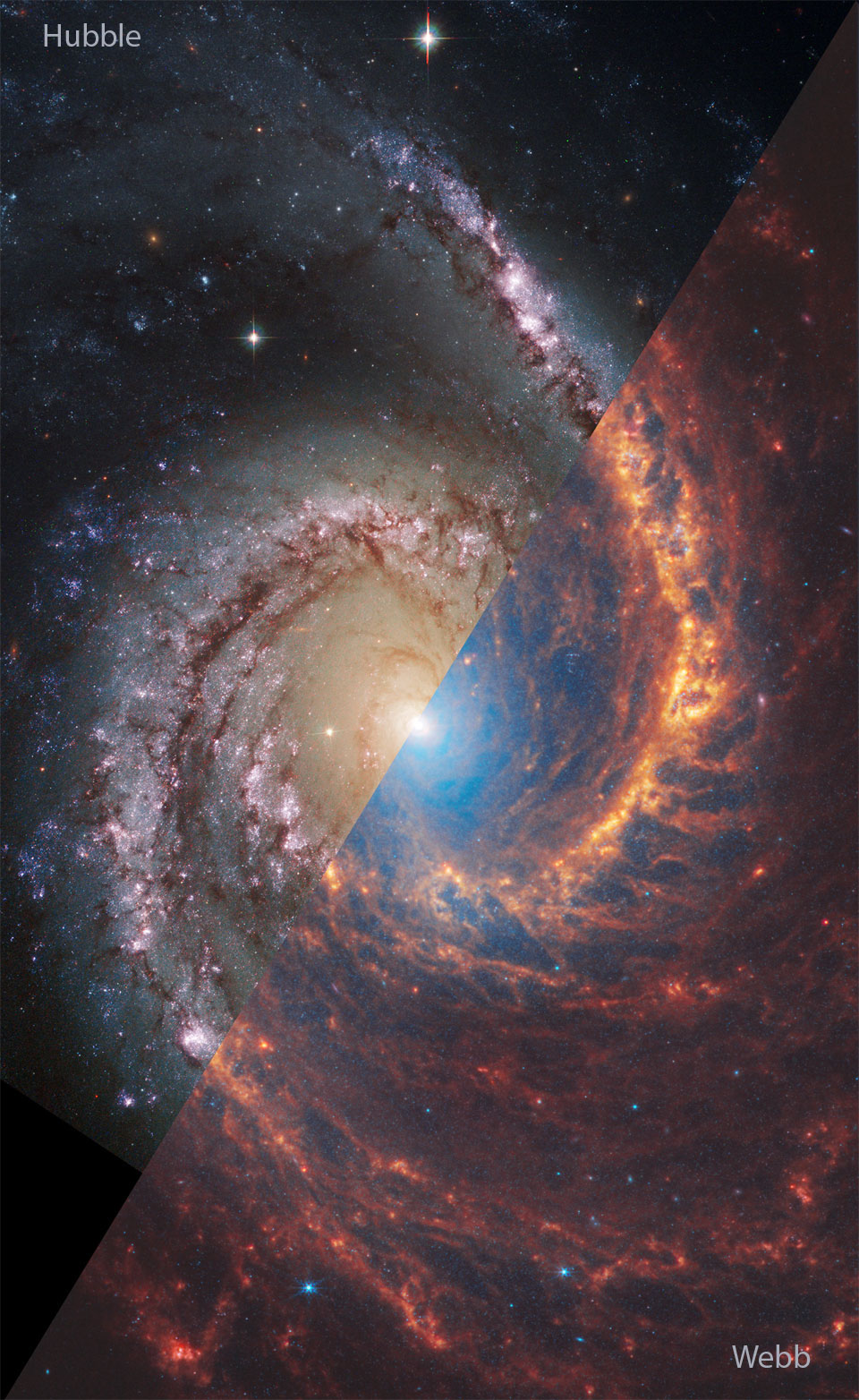Die Spiralgalaxie NGC 1566 ist mit einem Hubble-Bild, das hauptsächlich im sichtbaren Licht aufgenommen wurde, links oben und einem Webb-Bild, das hauptsächlich im infraroten Licht aufgenommen wurde, rechts unten dargestellt. Ein Rollover-Bild zeigt dieselbe Galaxie mit den umgekehrten Teilen von Webb und Hubble.