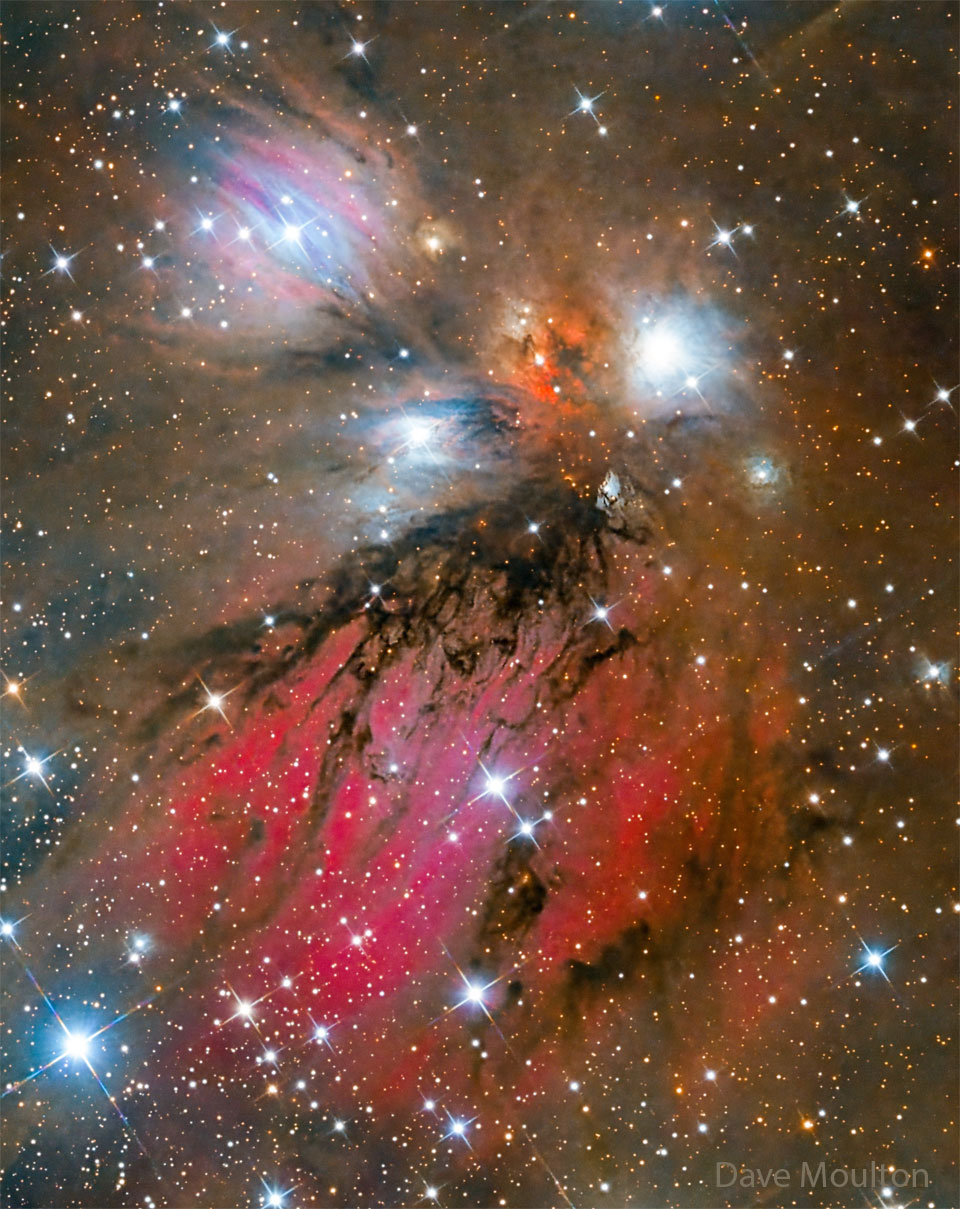 Braune Nebel im Hintergrund sind von roten und dunklen Nebelranken akzentuiert. Um die hellsten Sterne verlaufen helle Reflexionsnebel. Das Bild ist dicht von verschieden hellen Sternen übersät.