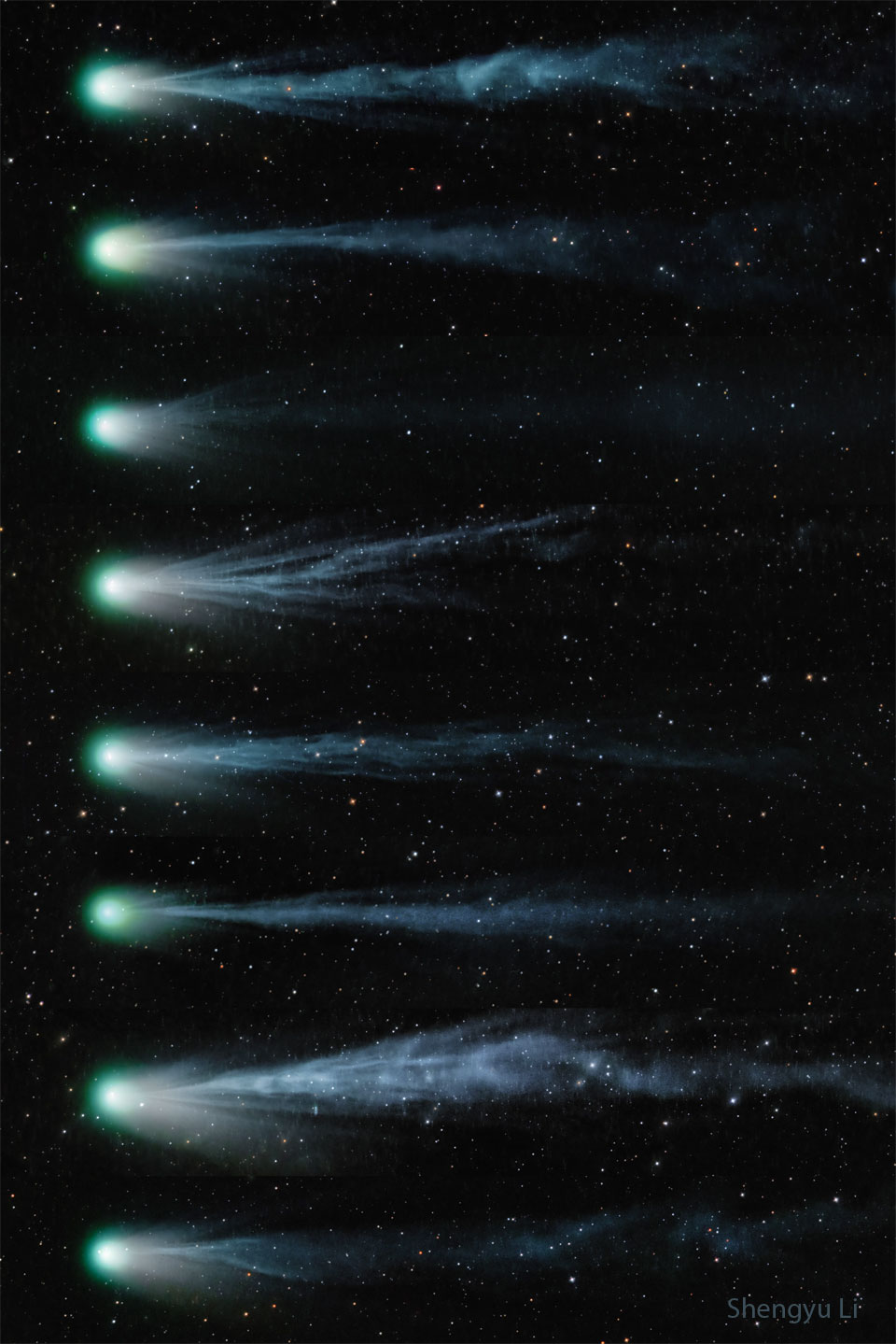 Das Bild zeigt acht Darstellungen von verschiedenen Tagen übereinander angeordnet: Links sind die Köpfe der Kometenfotos, nach rechts fächern sich die unterschiedlich langen Schweife auf.