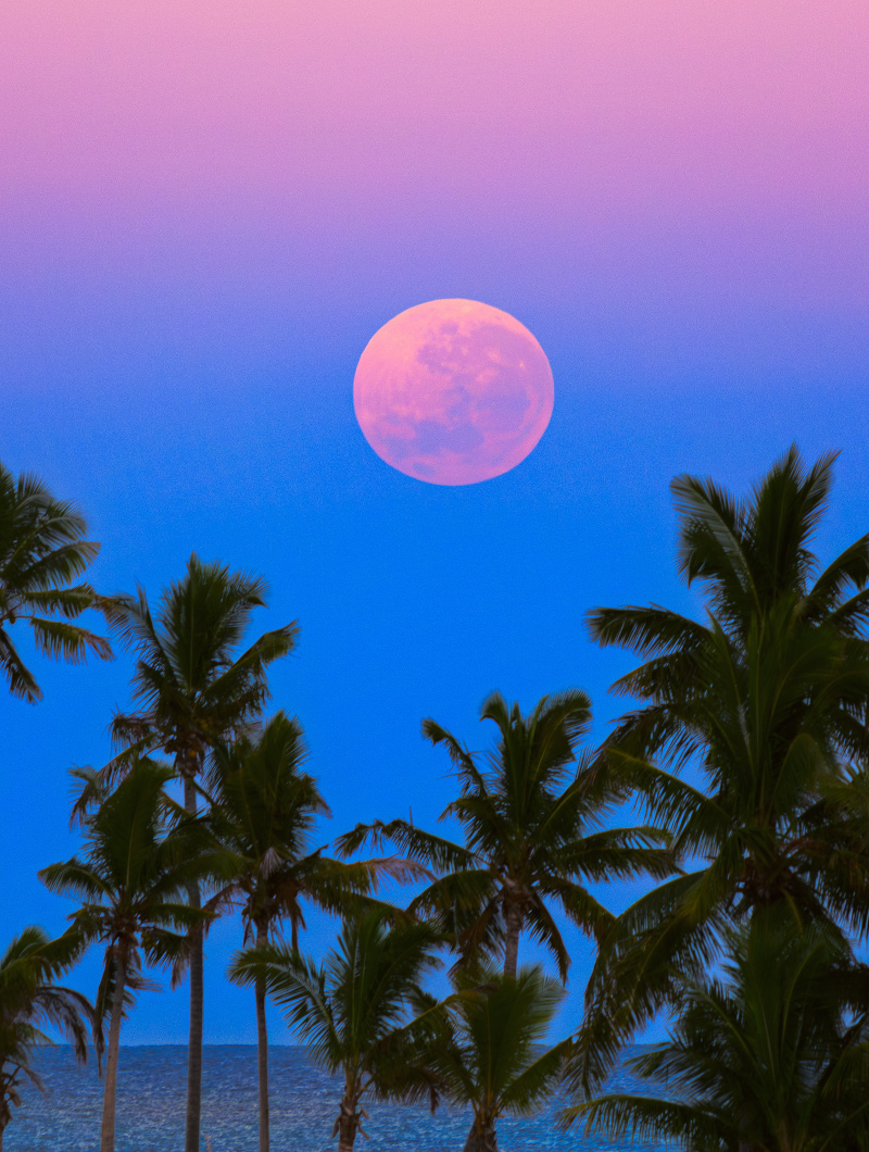 Hinter Palmen ist das Meer zu sehen. Darüber geht der Erdschatten auf. Über den Palmen leuchtet der orangerot gefärbte Vollmond.