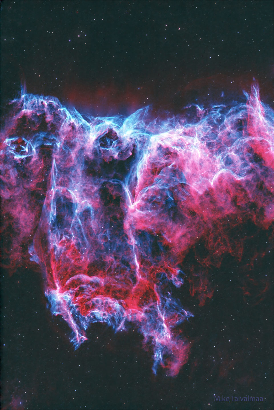 Vor einem dunklen Hintergrund mit wenigen kleinen Sternen leuchtet ein lebhafter magentafarbener Nebel mit vielen blauen Fasern. Seine Form erinnert an eine Fledermaus.