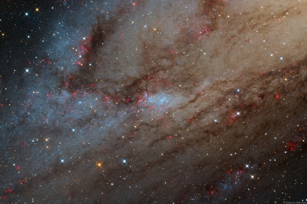 Das Bild ist von Stern- und Staubwolken gefüllt, dazwischen sind blaue Sternhaufen (links) und rote Sternbildungsgebiete verteilt.